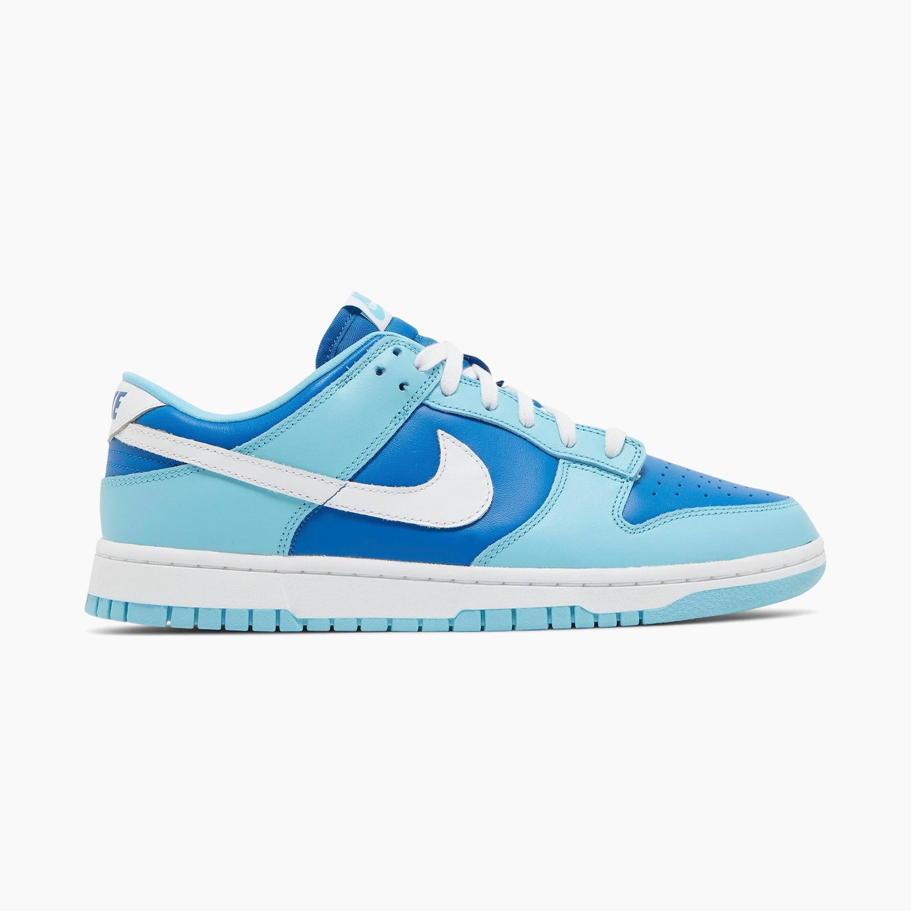 Nike Dunk Low Retro QS Argon