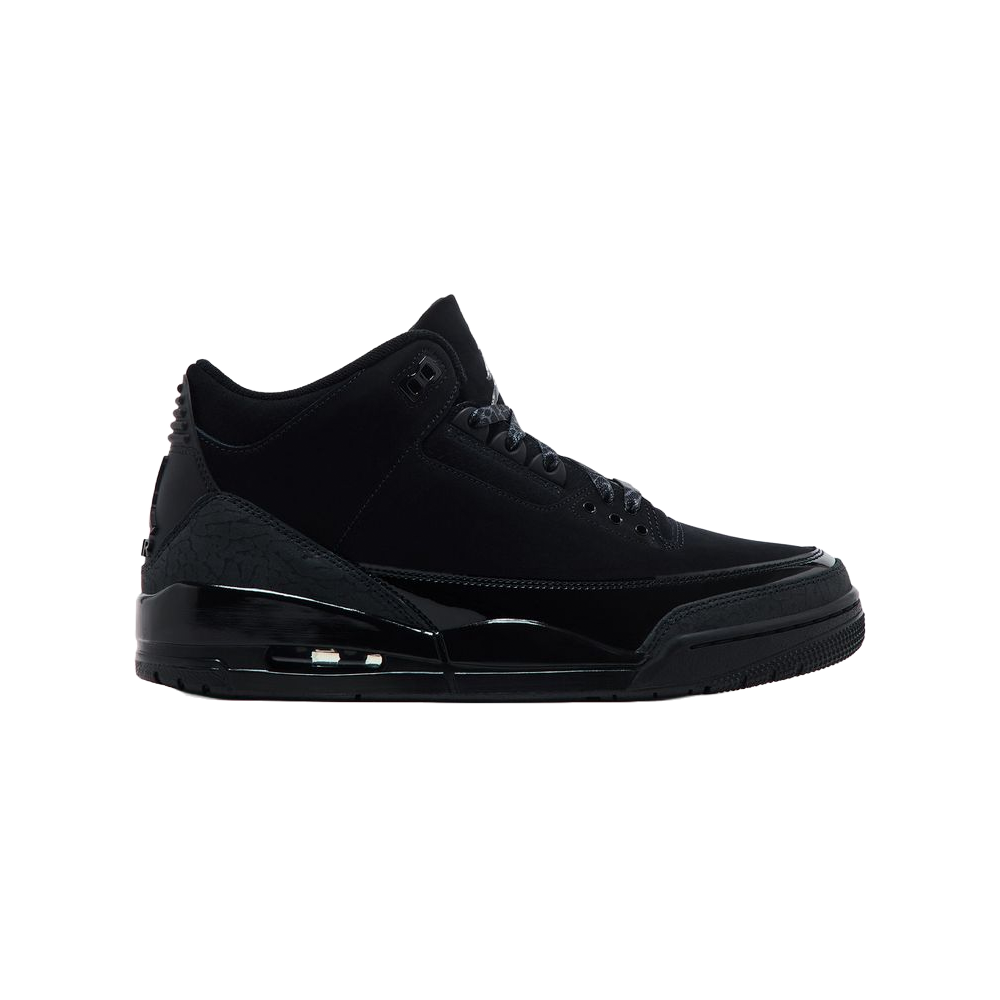 Air Jordan 3 Black Cat
