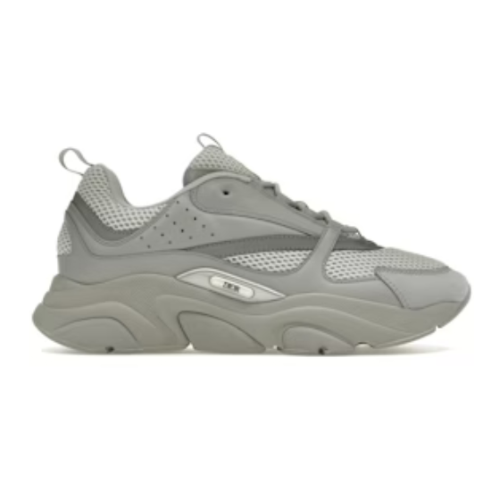 Dior B22 Grey White