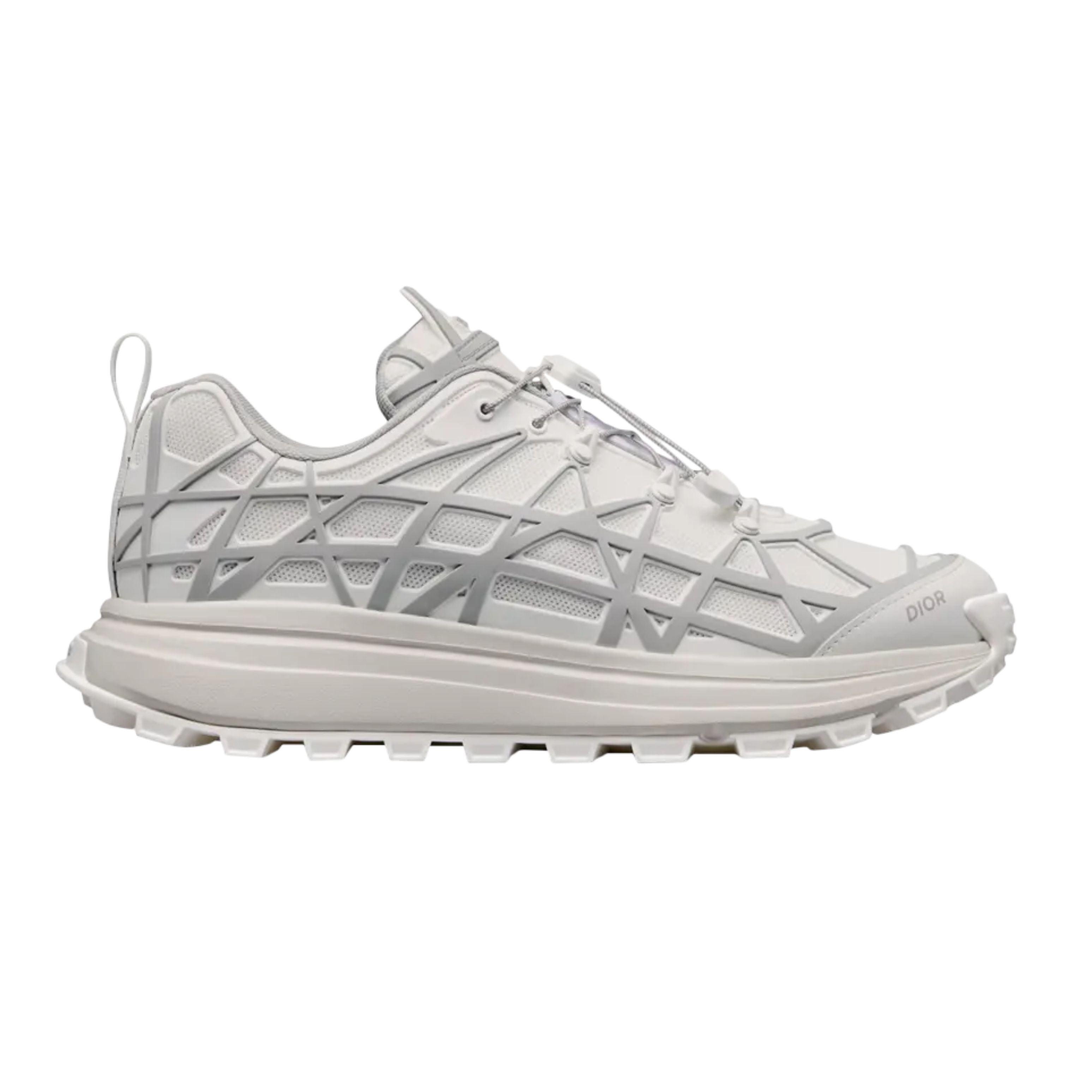 Dior B31 Runner Grey