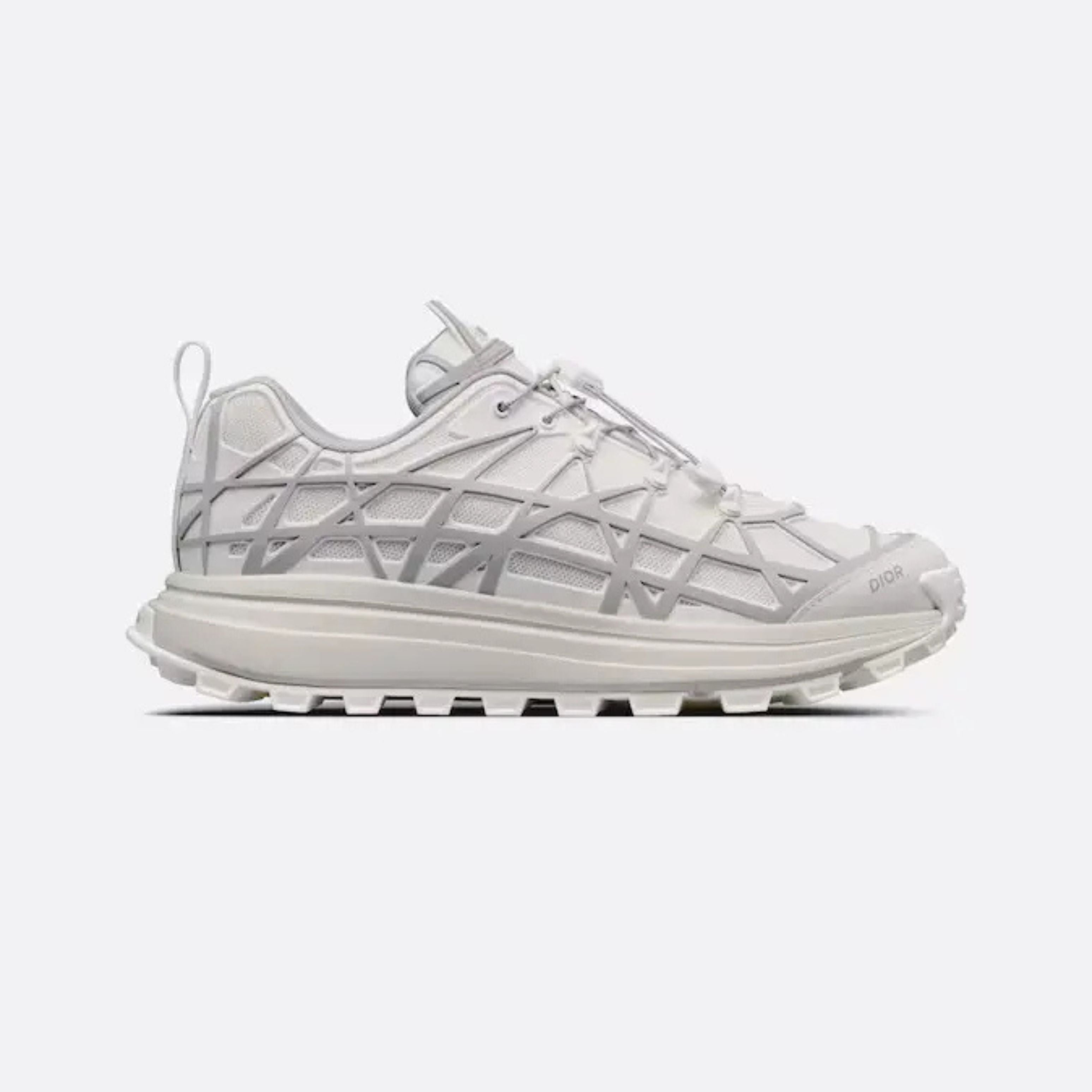 Dior B31 Runner White Grey