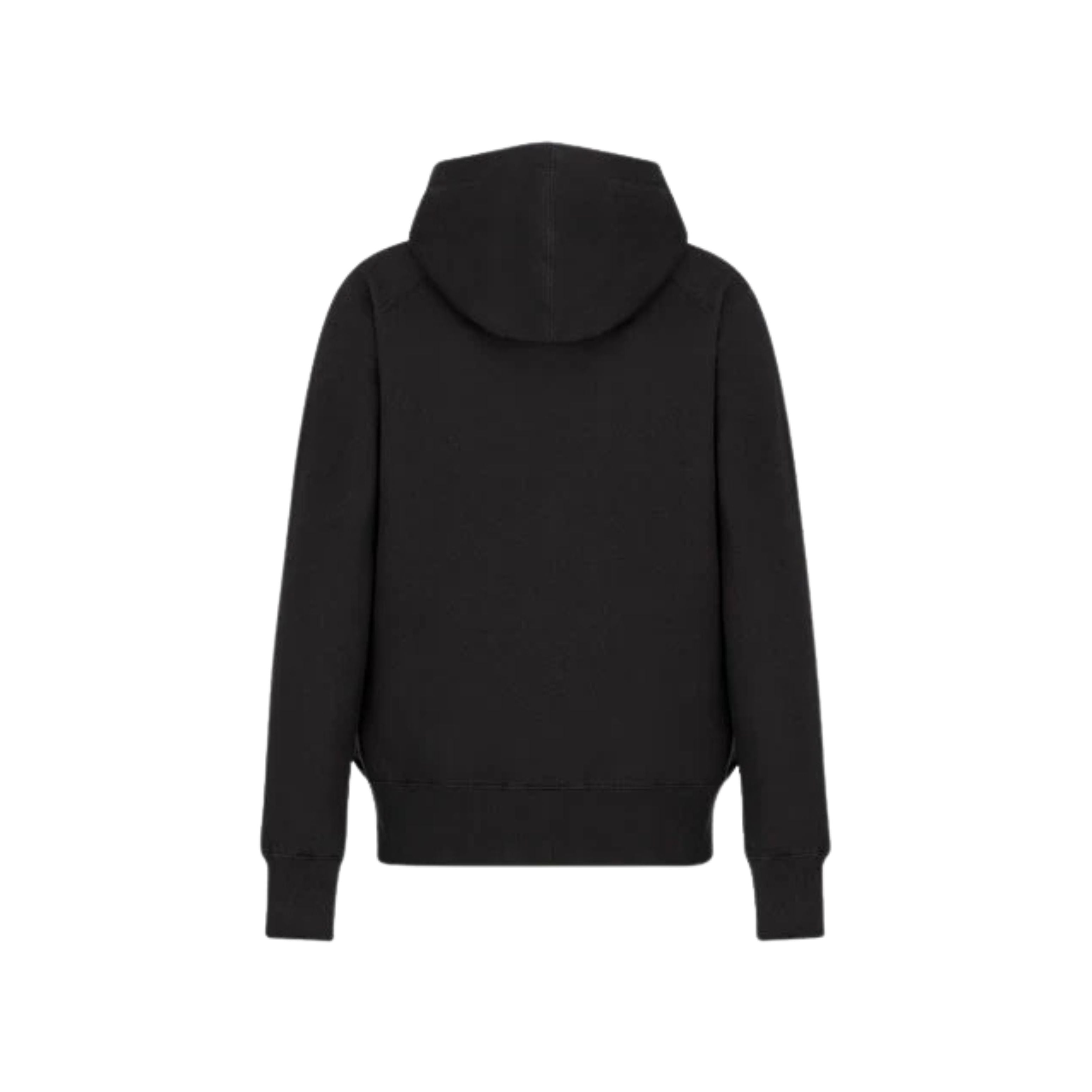 Dior Hoodie x Peter Doig Noir
