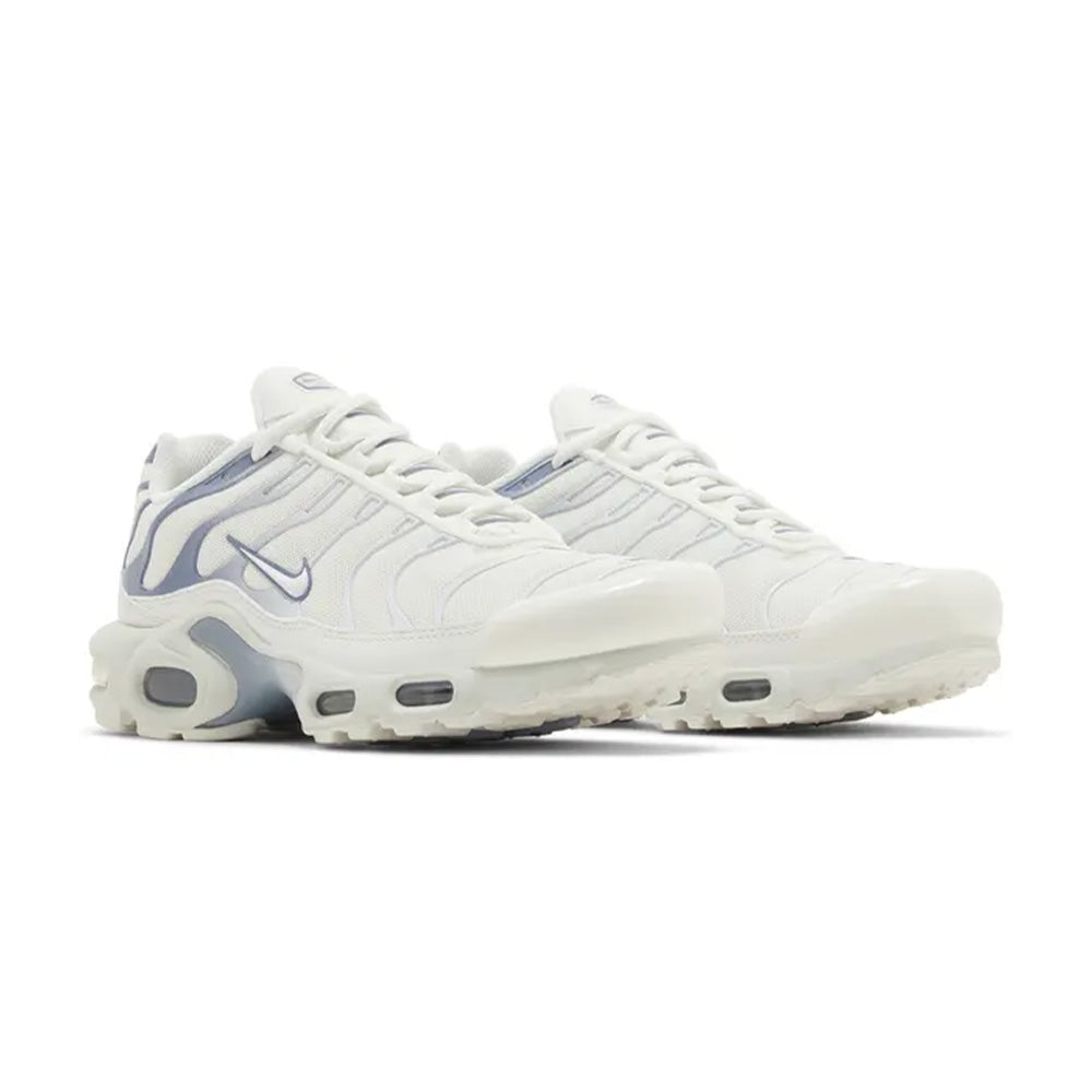 Nike Air Max Plus Ashen Slate