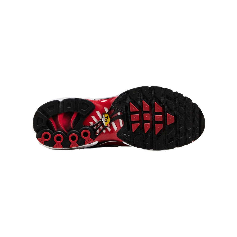 Nike Air Max Plus Red