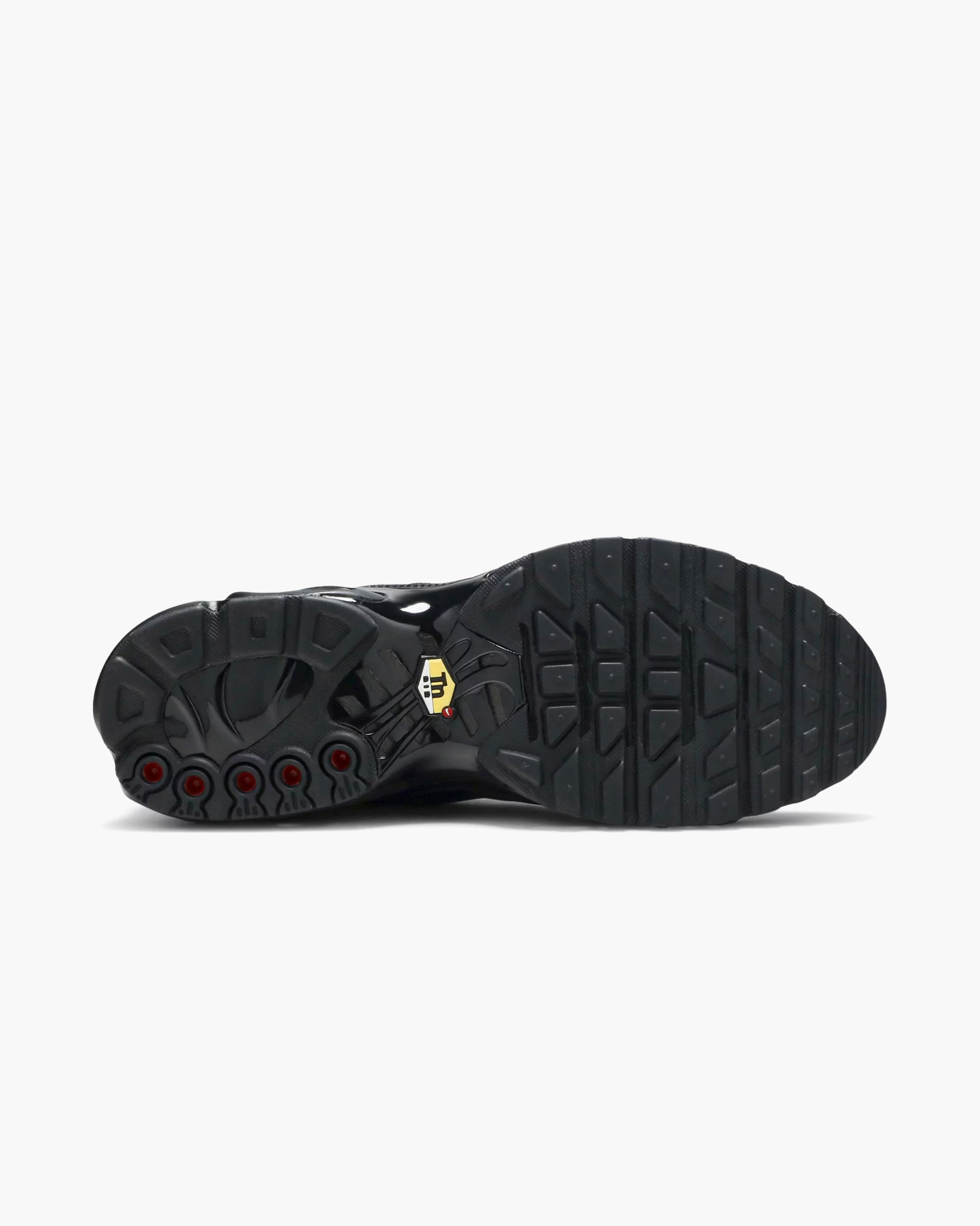 Nike Air Max Plus Triple Leather Black
