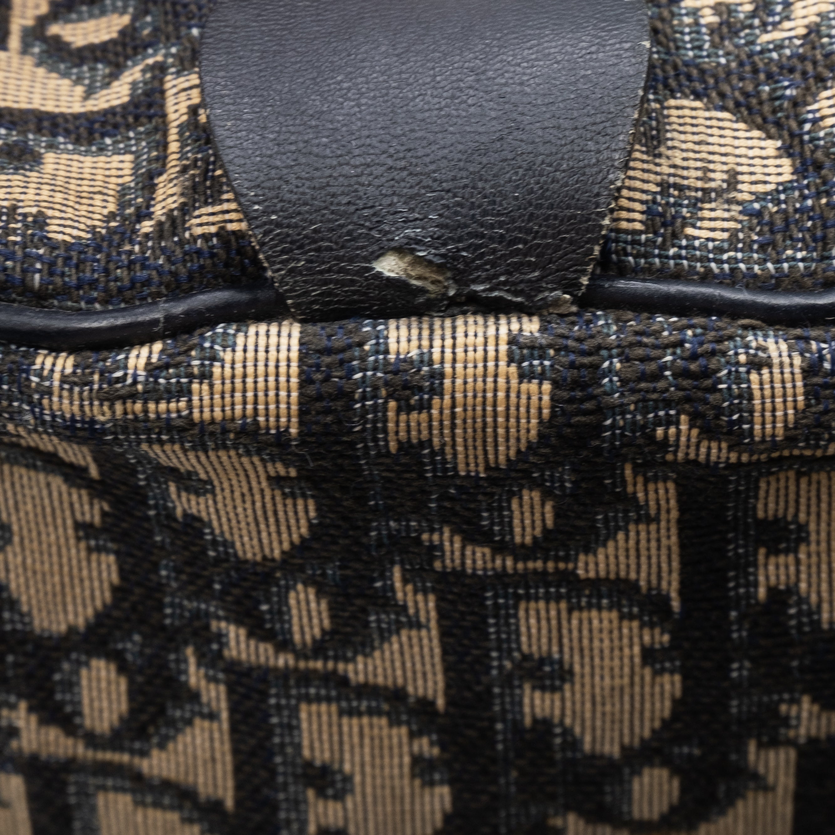 Dior Sac à main Trotter Monogram Bleu