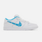 Nike Dunk SB Low Pro Nicole Hause