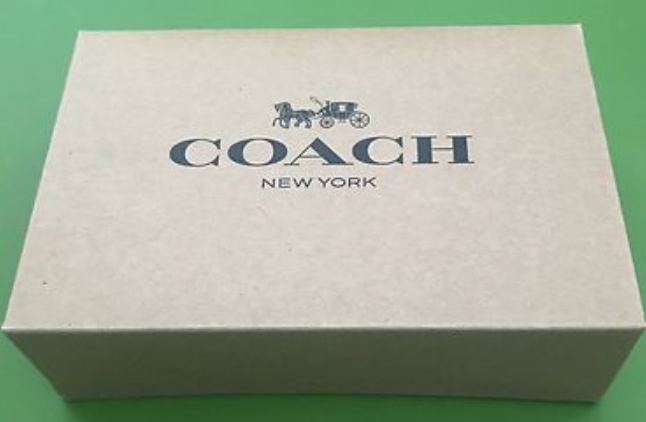 ARTICLE LUXE COACH VU EN LIVE