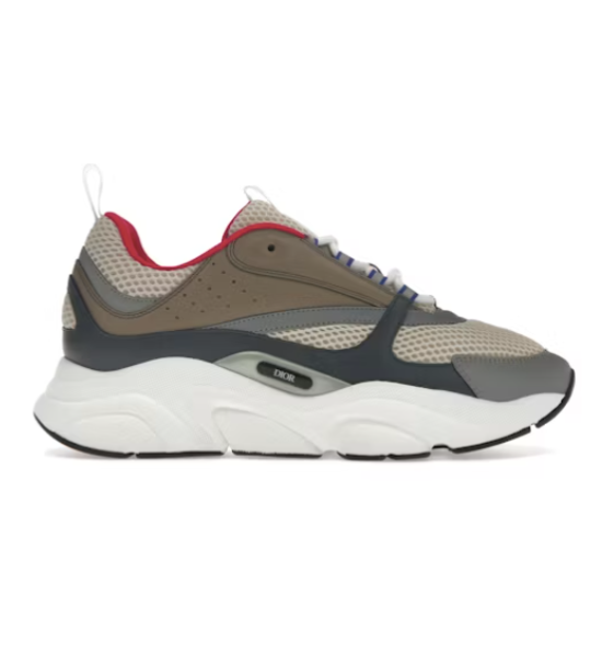 Dior B22 Beige Dark Grey