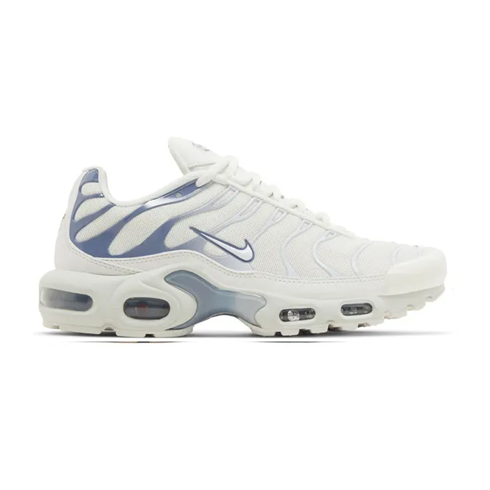Nike Air Max Plus Ashen Slate