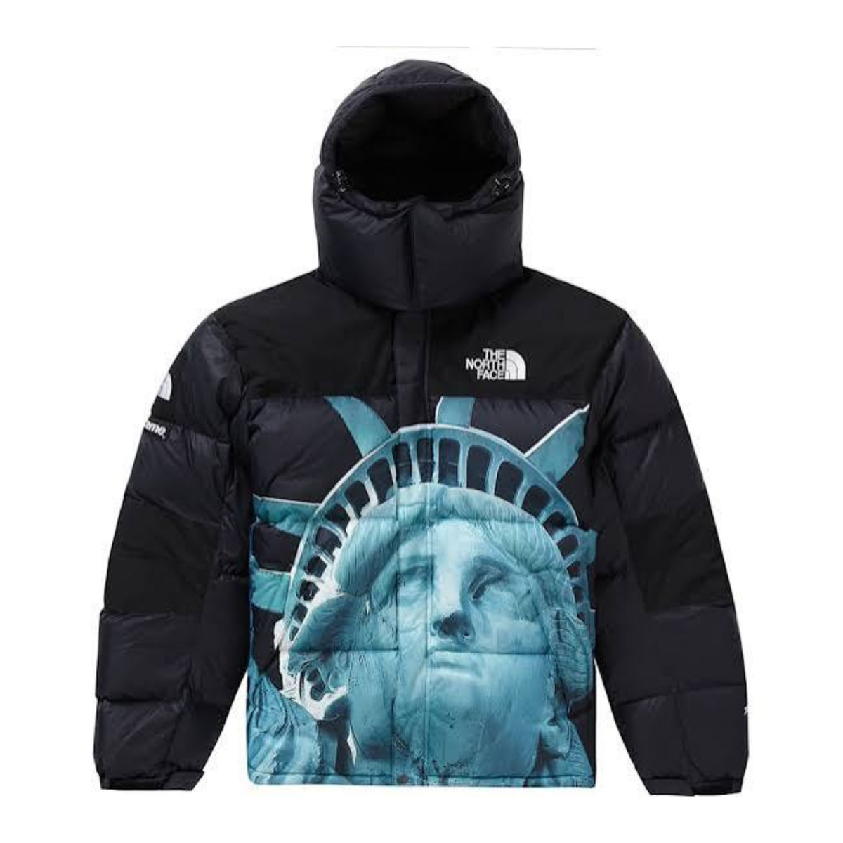 Supreme The North Face Statue of Liberty Baltoro Jacket Black